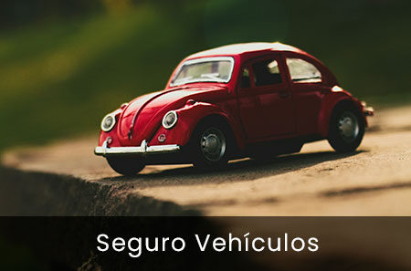 seguro-vehiculos